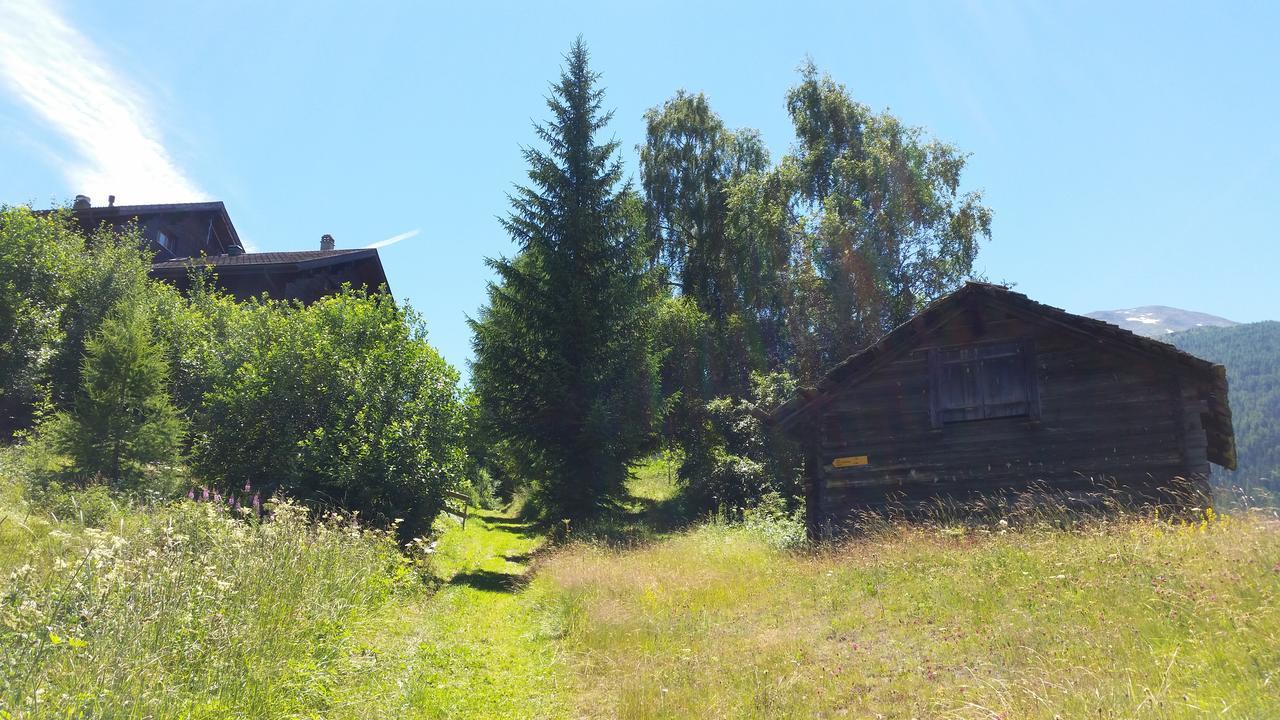 Chalet Bergmann Bürchen Exteriér fotografie