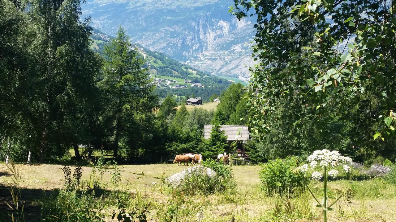 Chalet Bergmann Bürchen Exteriér fotografie