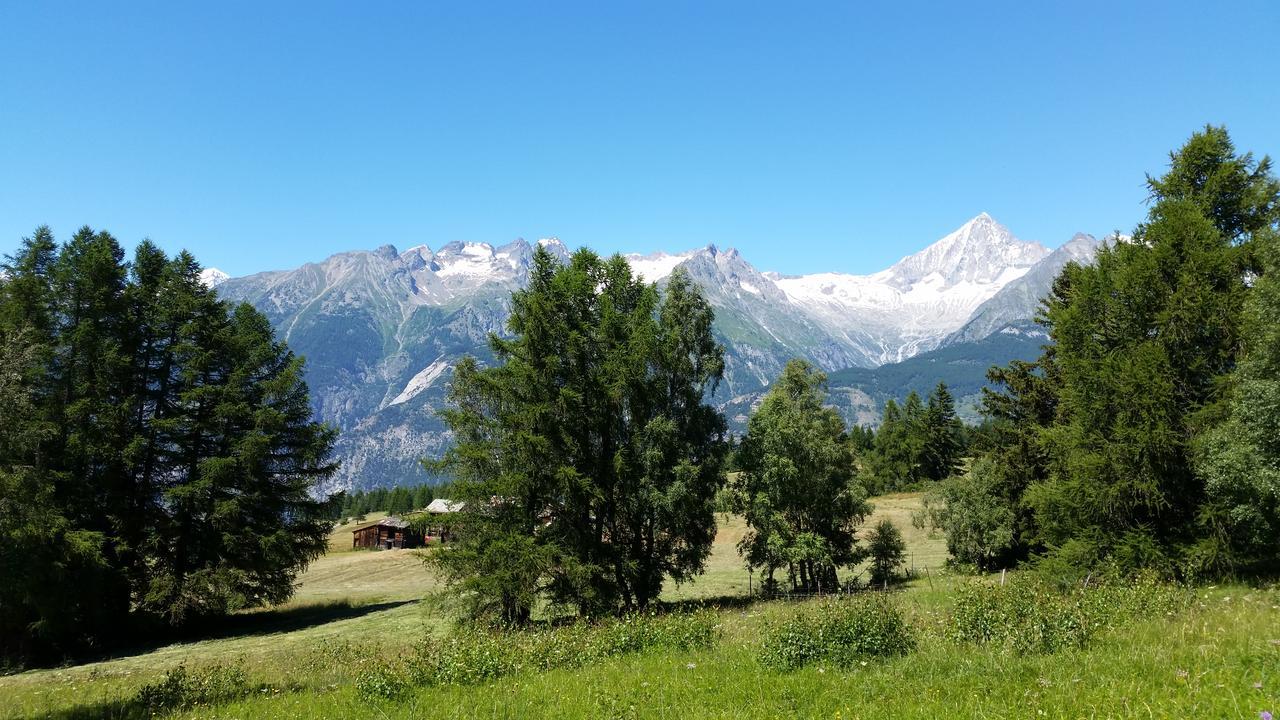 Chalet Bergmann Bürchen Exteriér fotografie