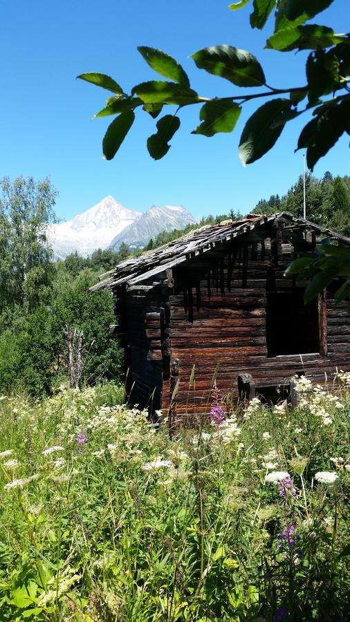 Chalet Bergmann Bürchen Exteriér fotografie