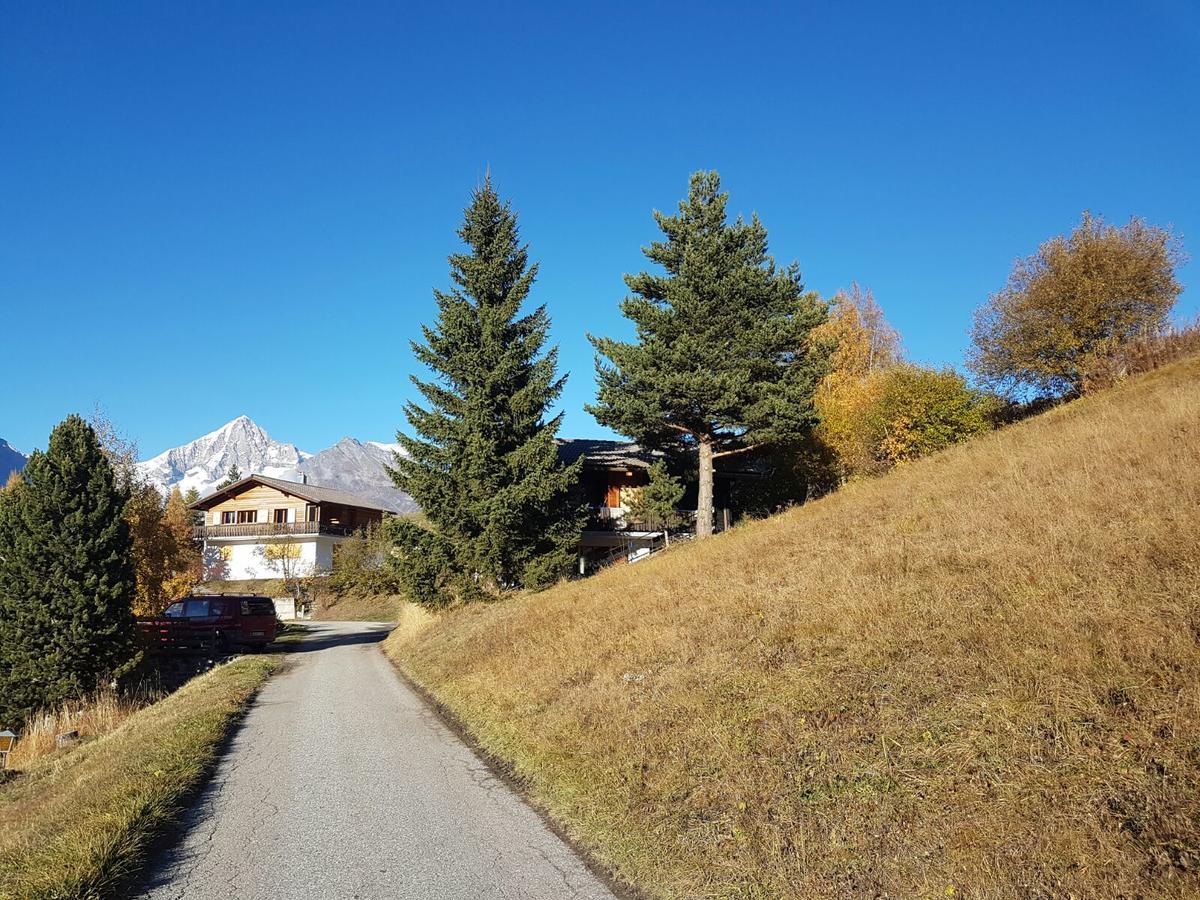 Chalet Bergmann Bürchen Exteriér fotografie