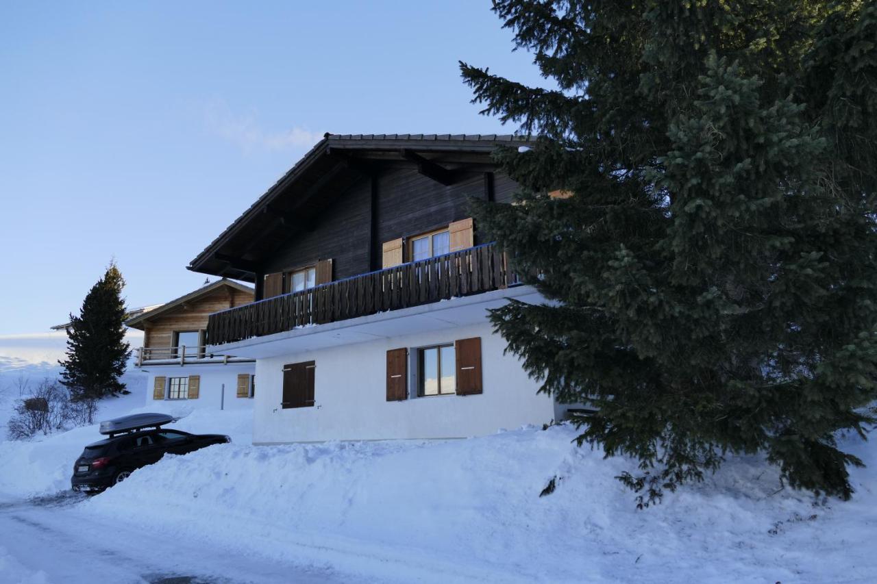 Chalet Bergmann Bürchen Exteriér fotografie