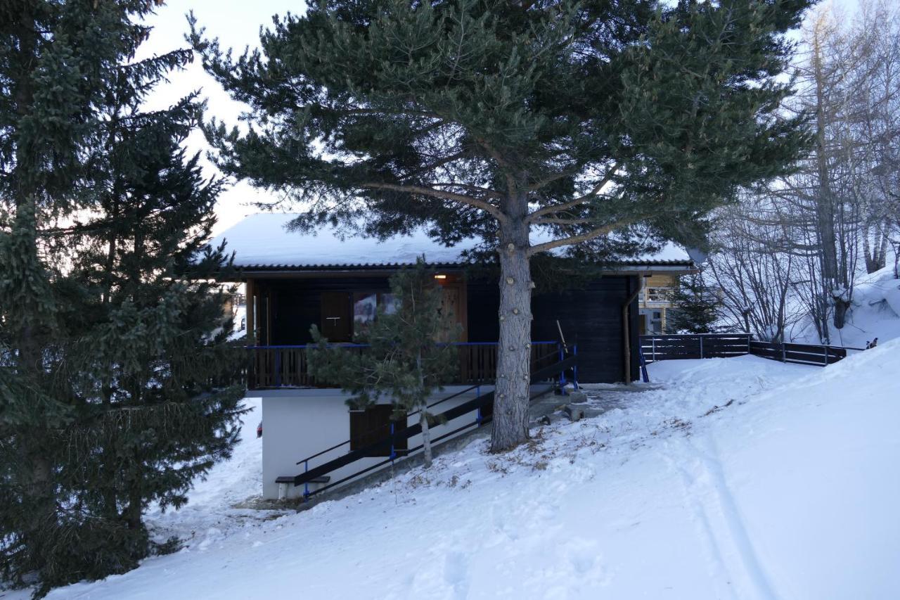 Chalet Bergmann Bürchen Exteriér fotografie